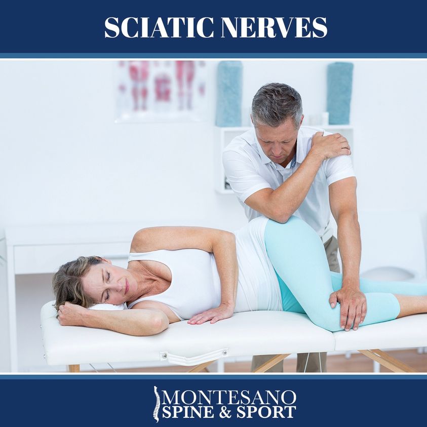 Read more about the article Sciatic Nerves