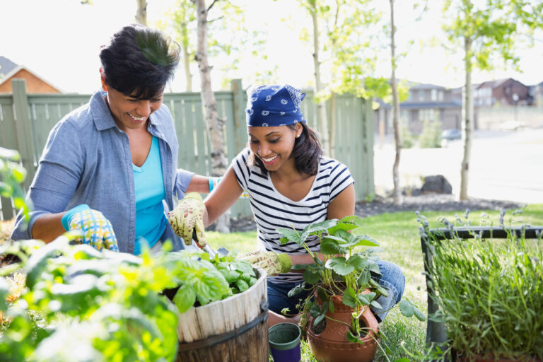 Read more about the article Gardening with back pain